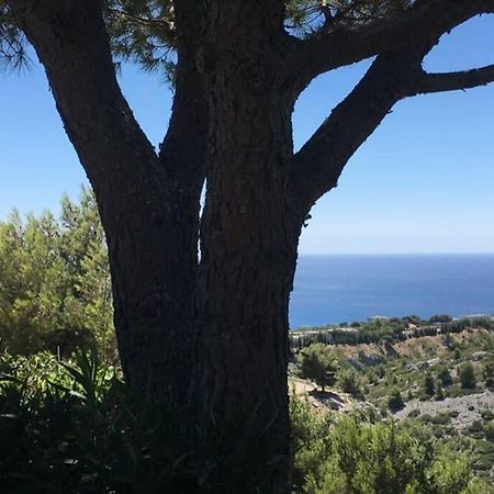 Magnifique Studio Cassis Kültér fotó